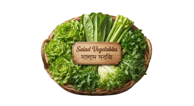 Salad Vegetables (সালাদ সবজি)