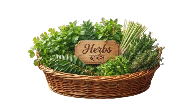 Herbs (হার্বস)