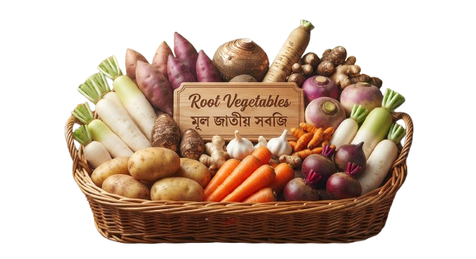 Root Vegetables (মূল জাতীয় সবজি)