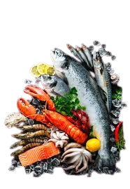 Seafood