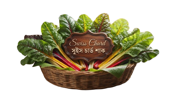 Swiss Chard সুইস চার্ড শাক  