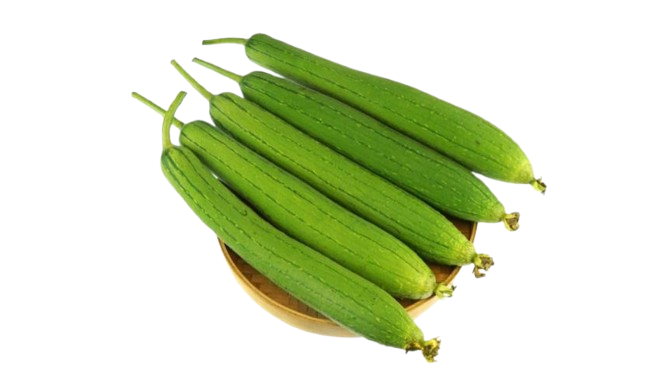 Sponge Gourd (ধুন্দুল)