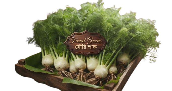 Fennel Greens মৌরি শাক